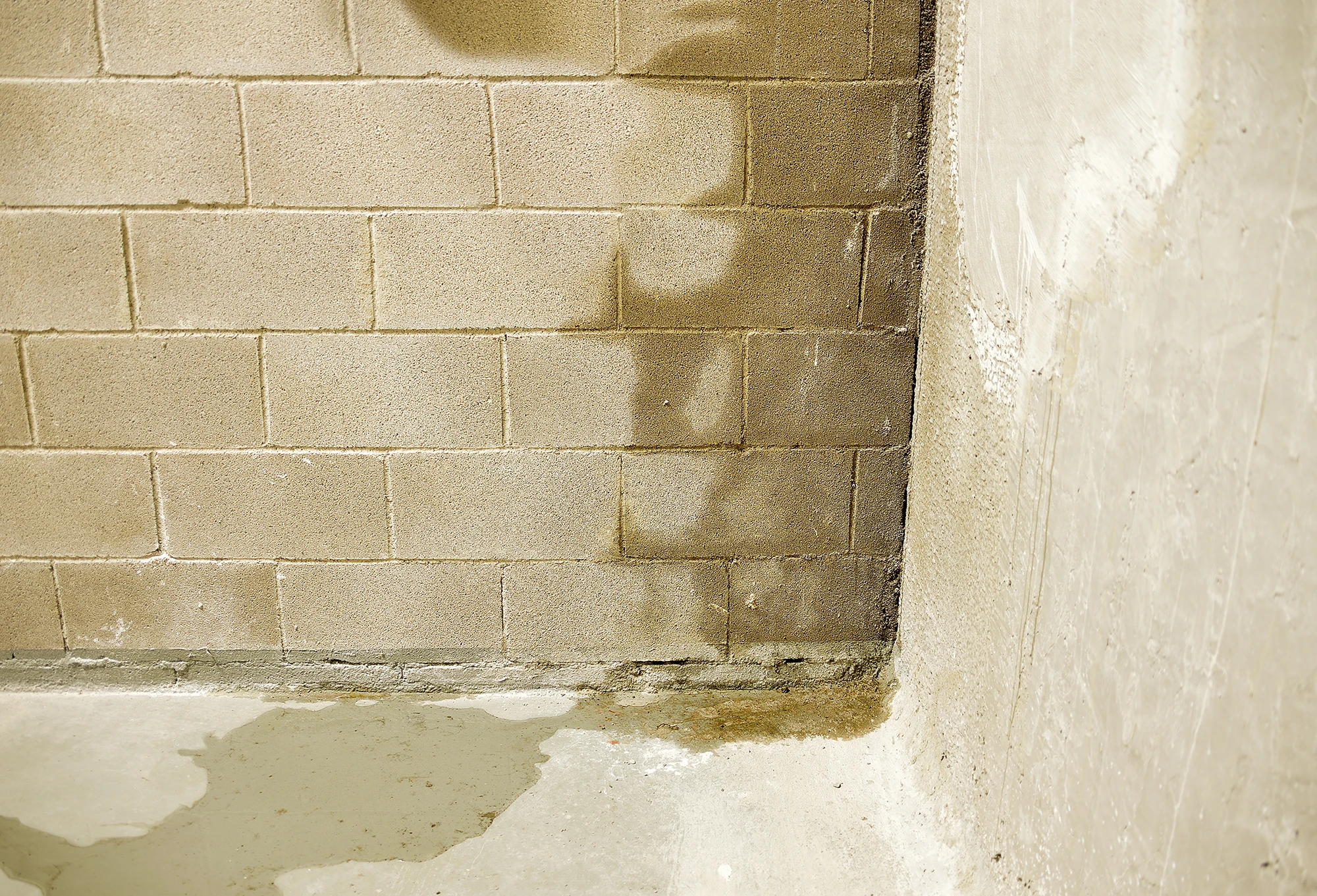 Cinder block basement with leaks.